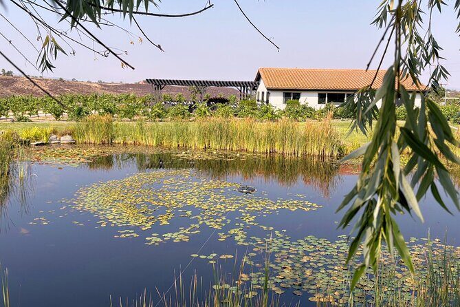 Temecula Treasures Wine Tour - Final Thoughts