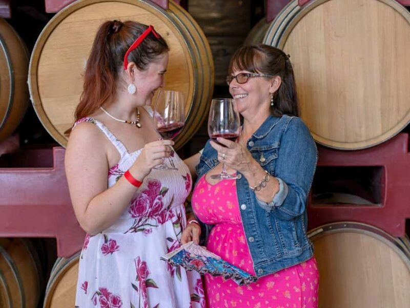 Temecula Valley 4-Hour Wine Tour with Tastings Included - Who This Tour Is Perfect For