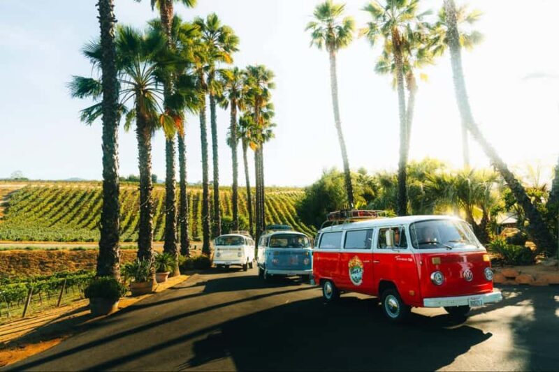 Temecula: VW Bus Wine Tour with Tastings - Key Points