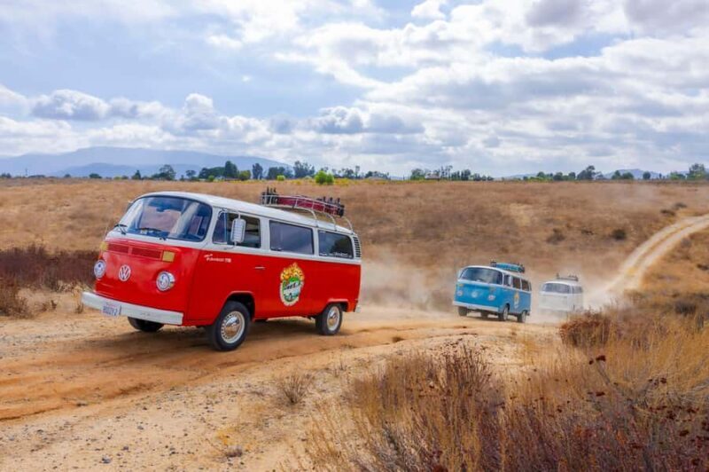 Temecula: VW Bus Wine Tour with Tastings - A Warm Welcome and Introduction