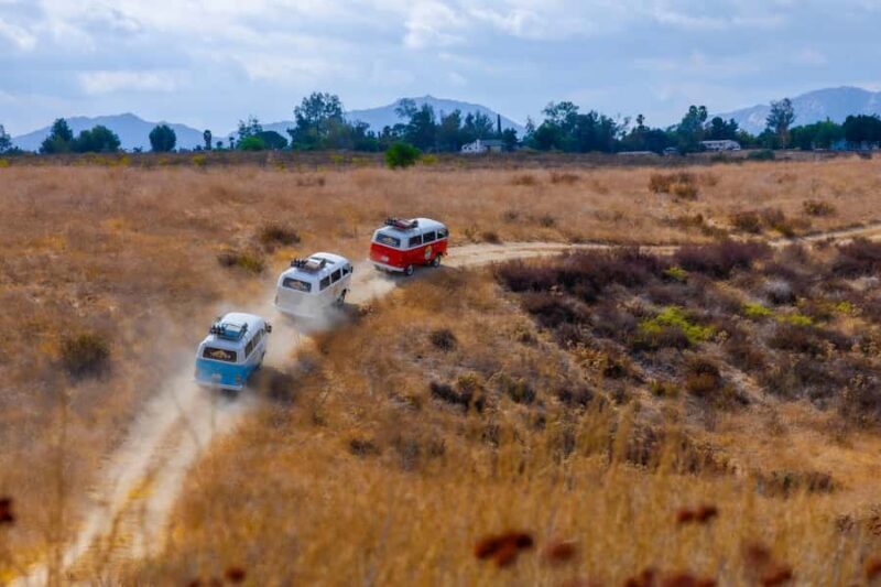 Temecula: VW Bus Wine Tour with Tastings - Return and Optional Post-Tour Relaxation