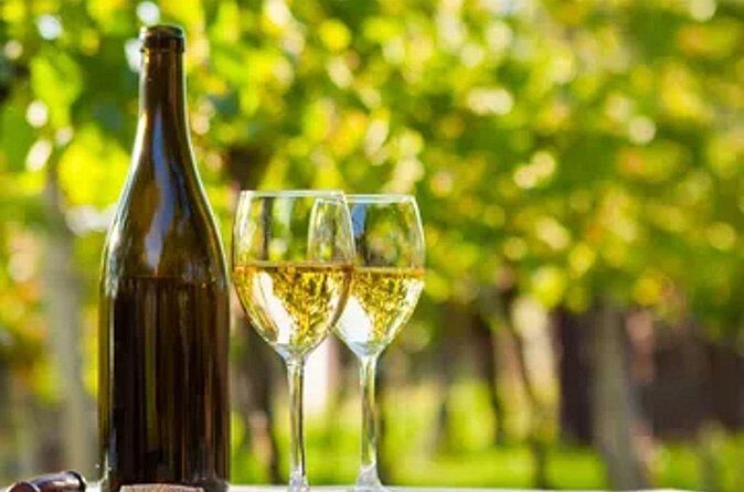 Temecula Winery Transportation - FAQ