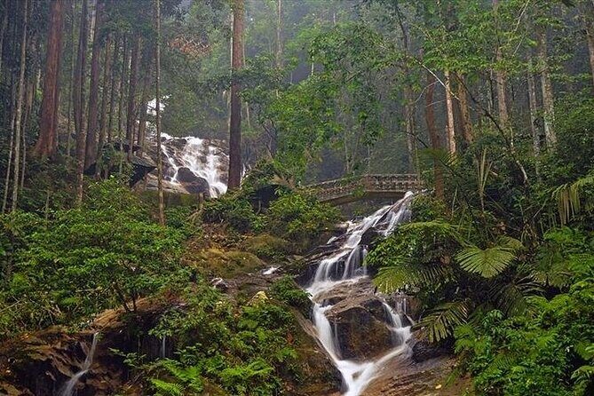 Templer Park and Kanching Waterfall Nature Tour - Exploring Bukit Takun and Jungle Trails