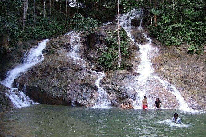 Templer Park and Kanching Waterfall Nature Tour - Who Should Consider This Tour?
