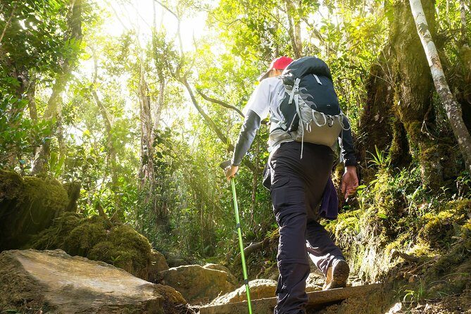 Templer Park and Kanching Waterfall Tour with Batu Caves Stopover - FAQ