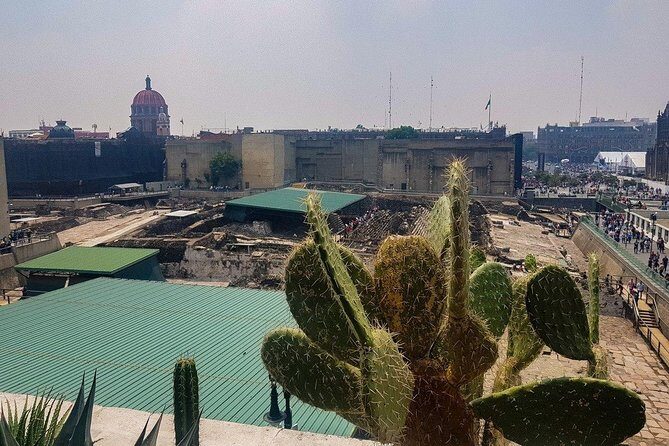 Templo Mayor Museum Semi Private Walking Tour in Mexico City Downtown - The Practical Side: What to Expect