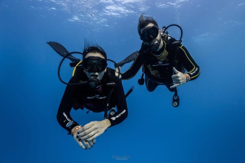 Tenerife - 2 Guided Dives for Certified Divers - Half Day - Safety and Practical Considerations