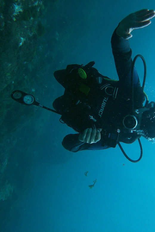 Tenerife - 2 Guided Dives for Certified Divers - Half Day - Who’s This Tour Perfect For?
