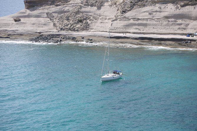 Tenerife 3-Hour Discover Whales and Dolphins - Final Thoughts