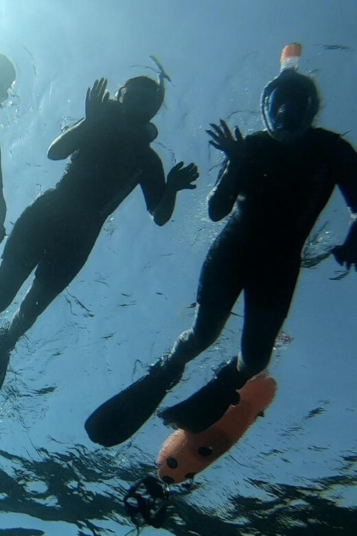 Tenerife: Alcalá Guided Snorkeling Tour - Key Points