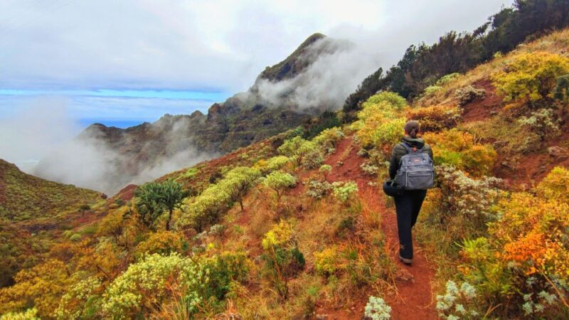 Tenerife: Anaga Hiking Tour & Enchanted Forest with Pickup - Key Points