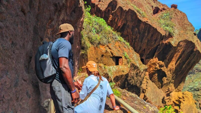 Tenerife: Anaga Hiking Tour & Enchanted Forest with Pickup - Who Should Book This Tour?