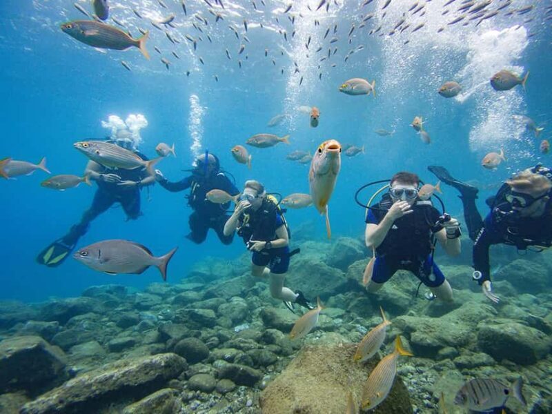 Tenerife: Beginner Scuba Dive Experience with Small Groups - Key Points