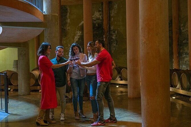 Tenerife Bodegas Monje Winery Tour with Wine and Cheese Tasting - Final thoughts