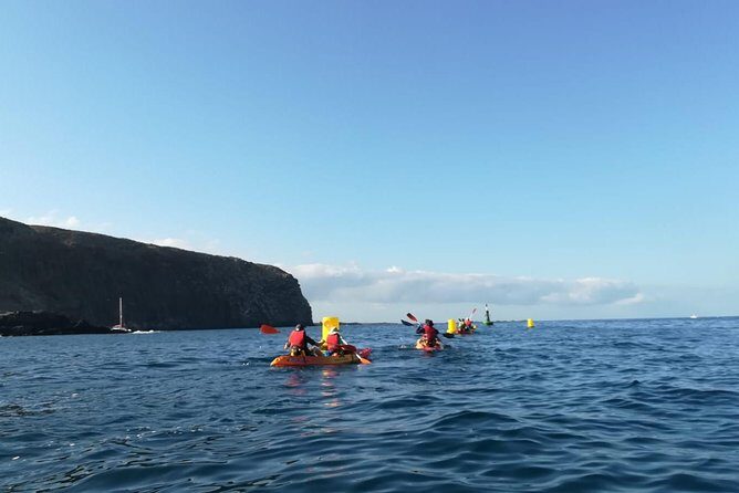 Tenerife by Kayak Adventure in small group - Key Points