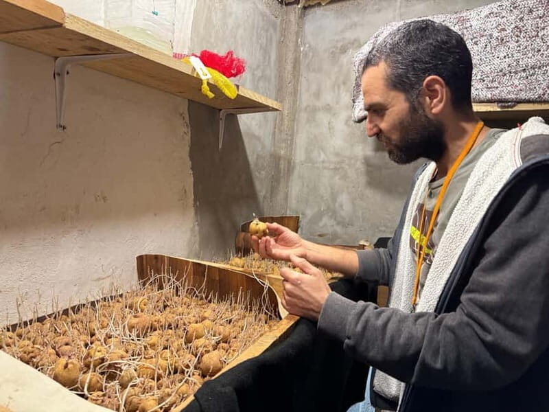 Tenerife: Canary History and Color Potatoes - Key Points