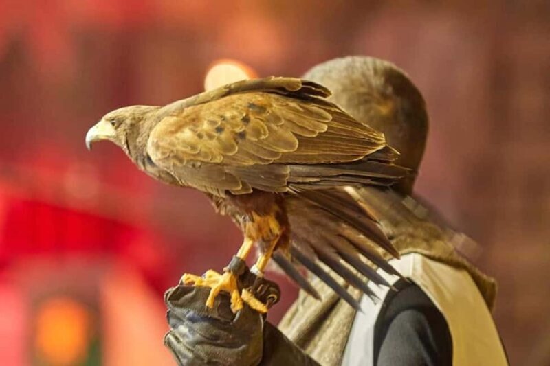 Tenerife: Castillo San Miguel Medieval Show and Banquet - FAQ