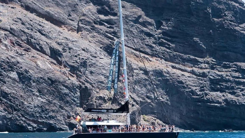 Tenerife: Catamaran Cruise with an Open Bar - Key Points