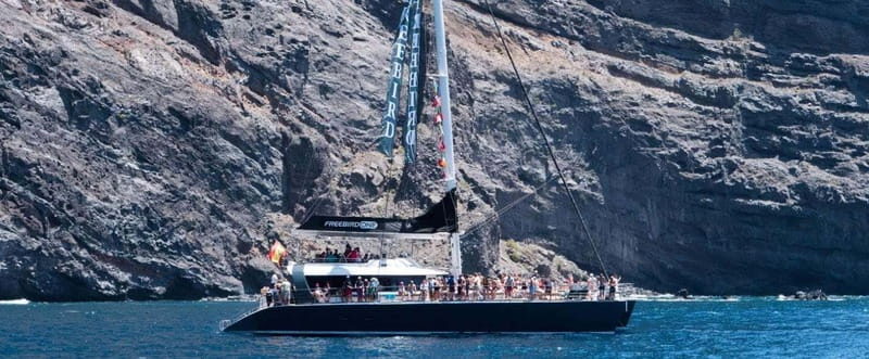 Tenerife: Catamaran Cruise with an Open Bar - Why You Should Consider This Tour