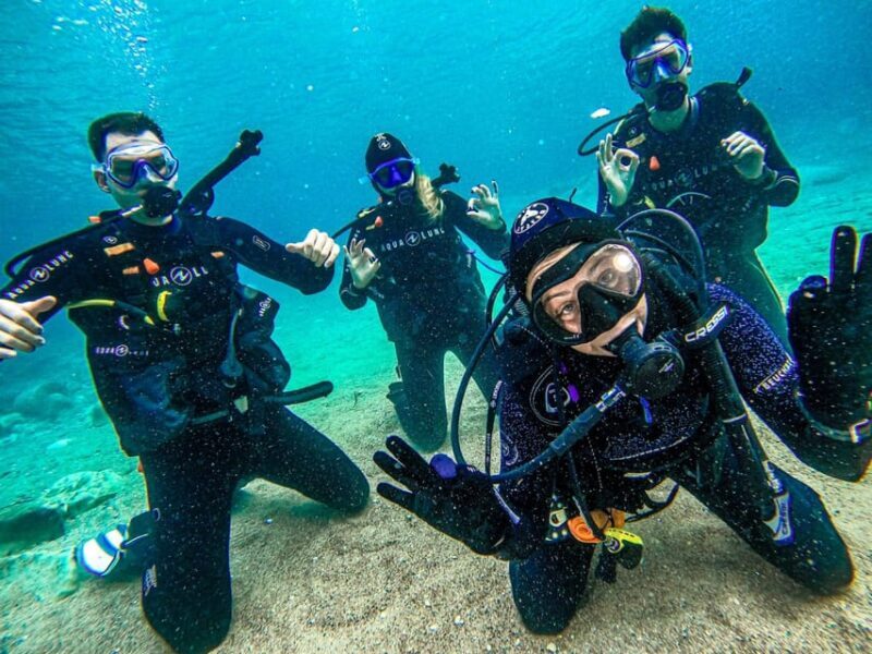 Tenerife - Discover Scuba Diving Experience with Instructor - Key Points
