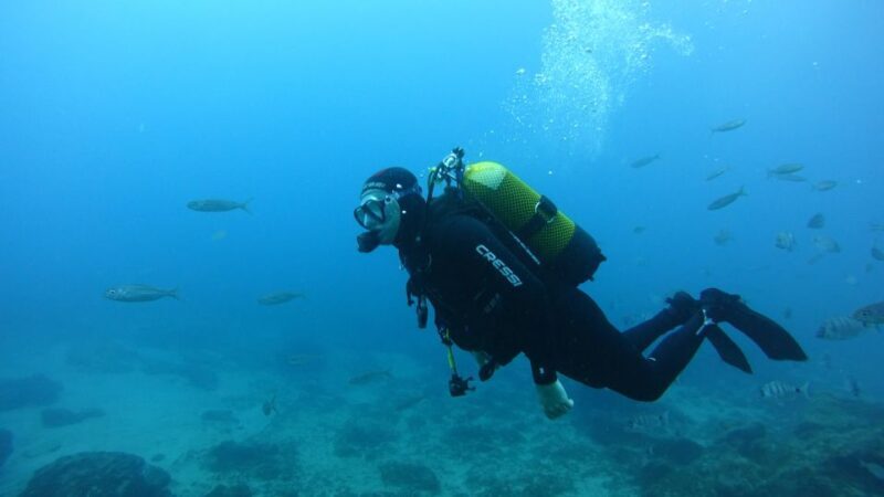 Tenerife: Discover Scuba Diving with Free Photos - An In-Depth Look at the Tenerife Discover Scuba Experience