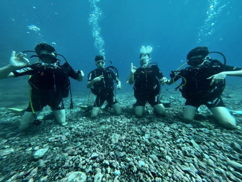 Tenerife : Diving License in one day - FAQ