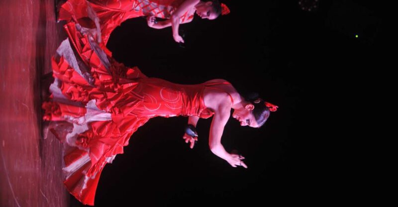 Tenerife: Flamenco Performance at Teatro Coliseo - The Experience: What to Expect