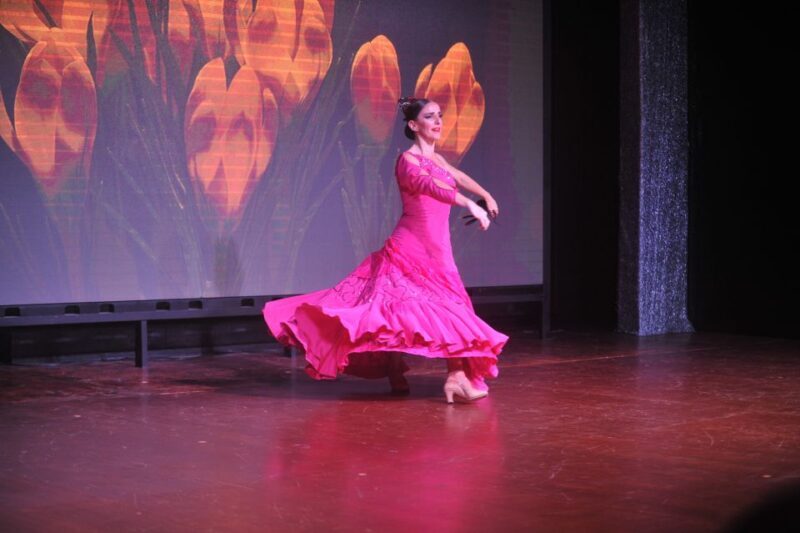 Tenerife: Flamenco Performance at Teatro Coliseo - Who Would Enjoy This Experience?