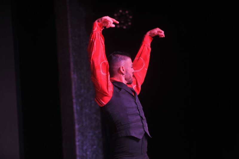 Tenerife: Flamenco Performance at Teatro Coliseo - Practical Tips