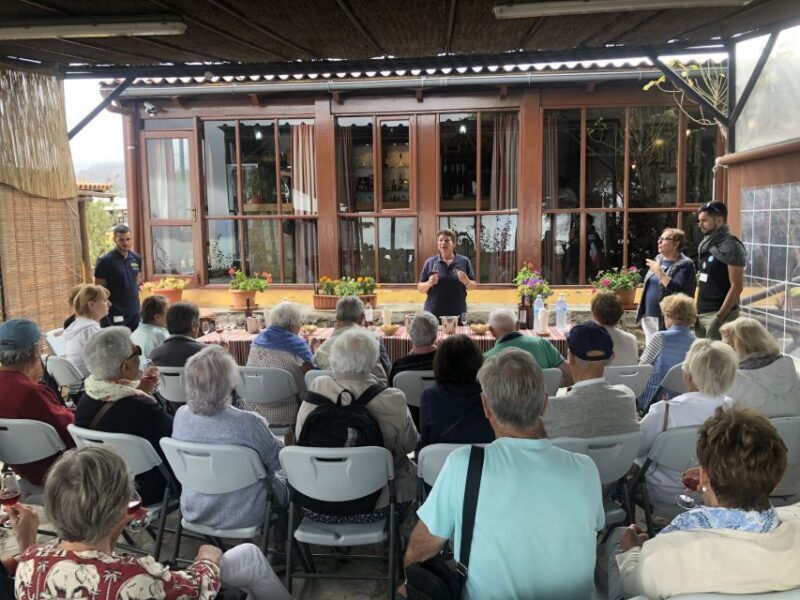 Tenerife: Flavours and Wines of Tenerife Gastronomy Tour - An In-Depth Look at the Tour