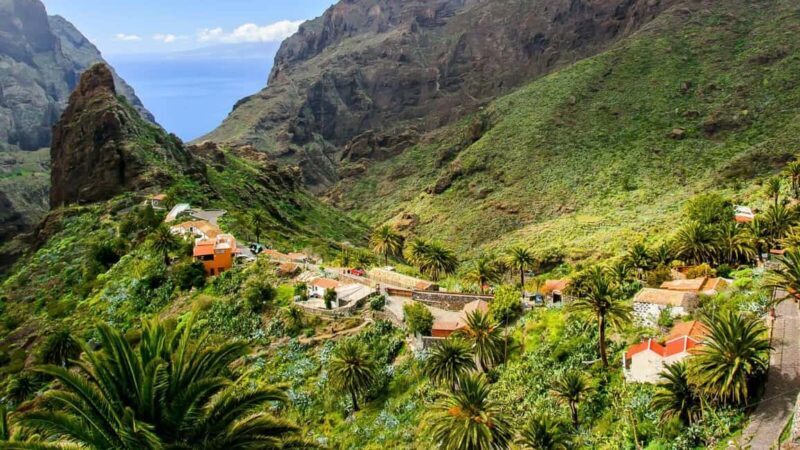 Tenerife: Full-day excursion to Masca and Teno - The Experience: What You Can Expect