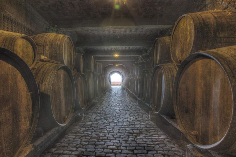 Tenerife: Full-Day Gastronomy and Wine Tour - Final Thoughts