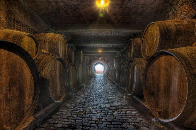 Tenerife Gastronomy Tour with Two Winery Visits and 4-Course Lunch - Analyzing Value and Practicalities