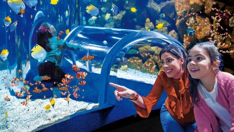 Tenerife: Gran Canaria Full-Day Guided Tour with Aquarium - Exploring Vegueta: A Look into Canary Islands’ History