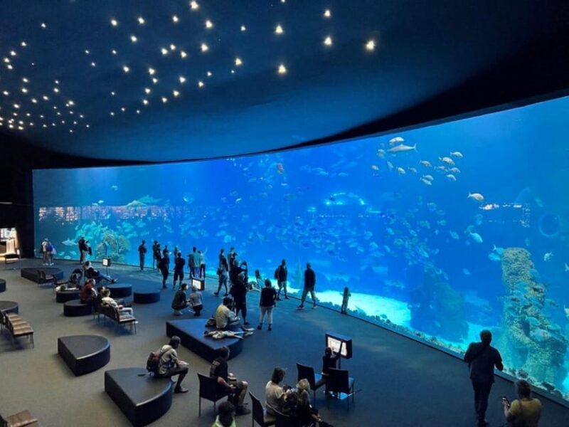 Tenerife: Gran Canaria Full-Day Guided Tour with Aquarium - Return Journey: Back to Tenerife