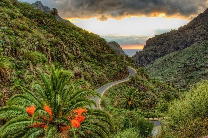 Tenerife Grand Tour: including Teide National Park and Masca - Key Points