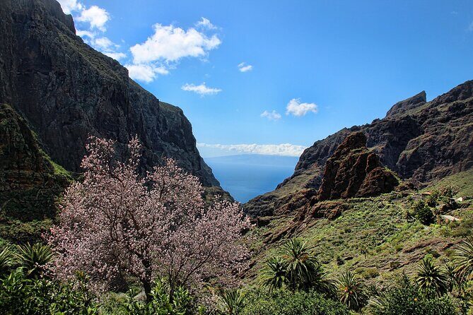 Tenerife Grand Tour: including Teide National Park and Masca - An In-Depth Look at the Tenerife Grand Tour