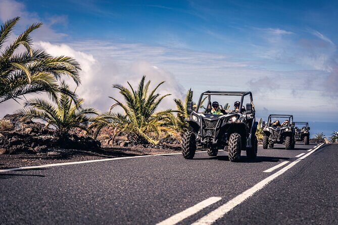 Tenerife Guided Buggy Discovery Tour Around Mount Teide - Authentic Feedback and Real Experiences