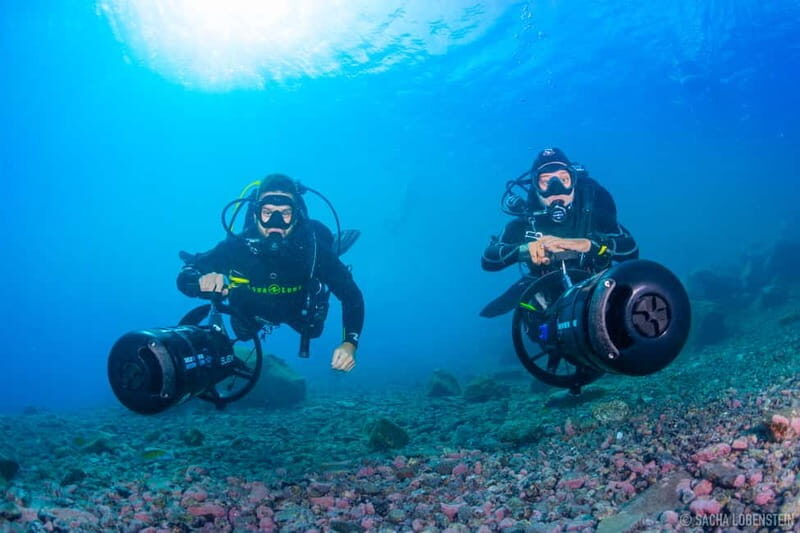 Tenerife: Guided Dive and Scooter Experience - What to Expect from the Tenerife Guided Dive and Scooter Experience