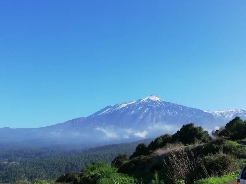 Tenerife: Guided Horseback Riding Tour to the Lomo Forest - Introduction