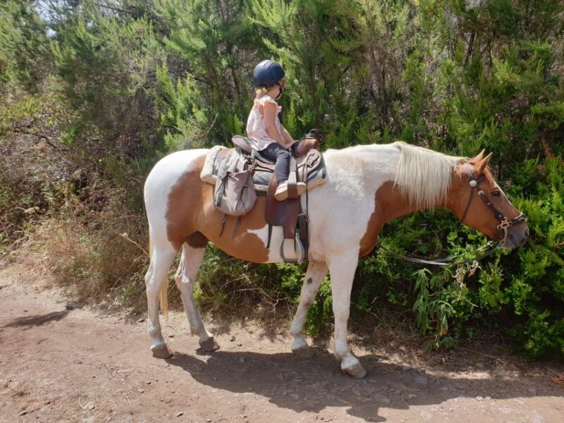 Tenerife: Guided Horseback Riding Tour to the Lomo Forest - Practical Details and Tips