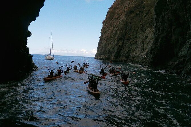 Tenerife: Guided kayak tour with snorkeling in a marine reserve - Final Thoughts: Is It Worth It?