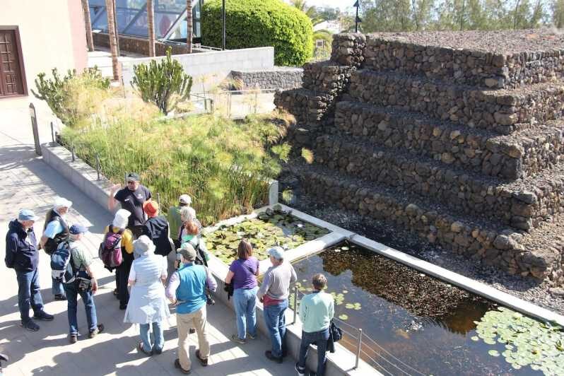 Tenerife: Guided tour at Pirámides de Güímar - FAQ