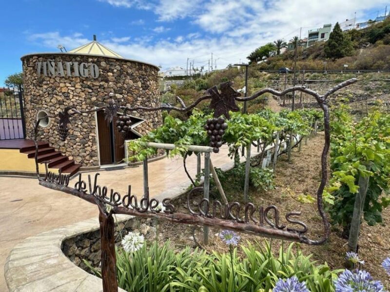 Tenerife: Guided tour with tasting of 6 wines - Who this tour suits best