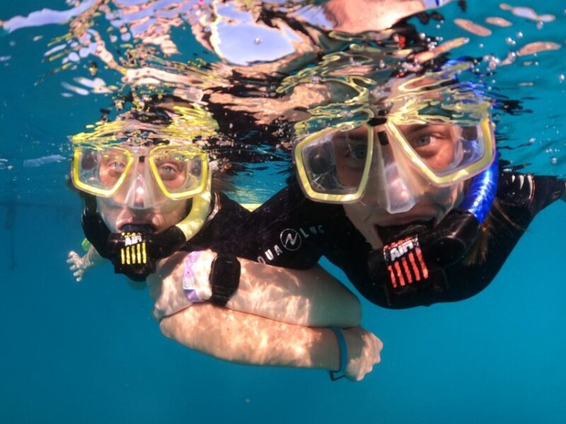 Tenerife: Half-Day Snorkeling Tour - Practical Details & Tips