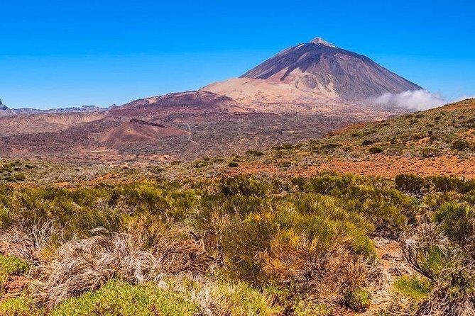 Tenerife Highlights Full-Day Tour - In-Depth Look at the Tour Experience