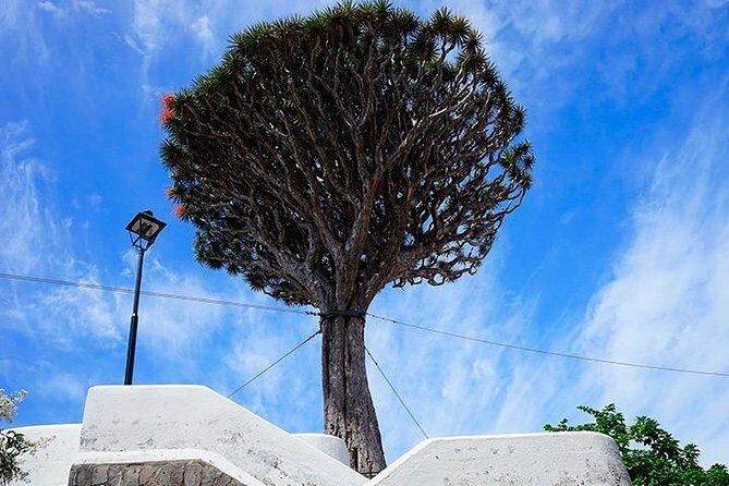 Tenerife Highlights Full-Day Tour - Who Will Love This Tour?