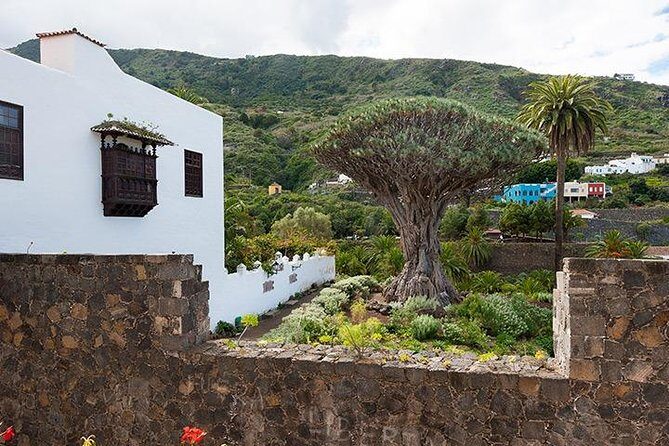 Tenerife Highlights Full-Day Tour - The Sum Up