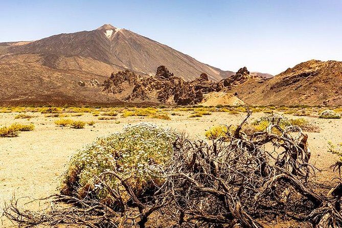 Tenerife Highlights Full-Day Tour - Frequently Asked Questions