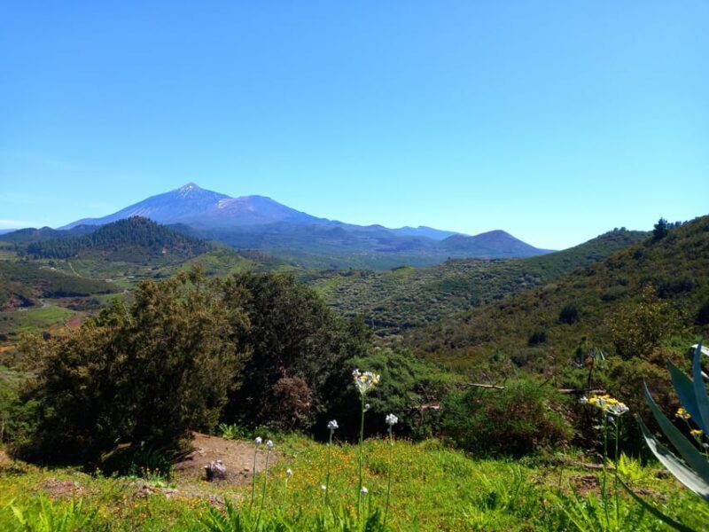 Tenerife: Hiking Above the Village of Masca - FAQ